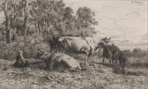 Holländische Kühe