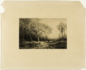 Waldrand