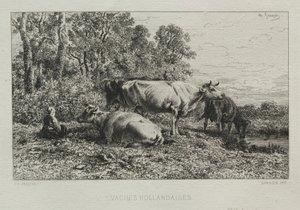 Holländische Kühe