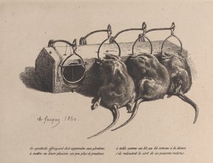 Mausefalle, 1860