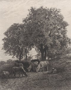 Ruhe, 1864