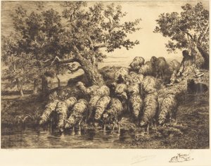 Schafe am Wasserplatz von Charles Emile Jacque