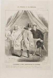 Das Vergnügen einer ärztlichen Beratung (Tafel 11) von Charles Emile Jacque