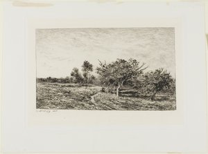 Apfelbäume in Auvers