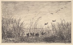 Enten in den Sümpfen, [1862], neu gedruckt 1921