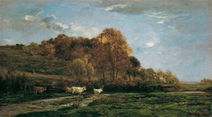 Herbstliche Aulandschaft