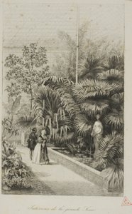 Innenraum des großen Gewächshauses von Charles Francois Daubigny