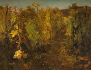 La Vigne, 1860-1863 von Charles Francois Daubigny