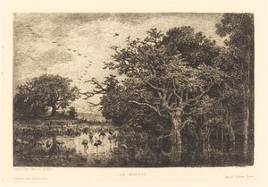Sumpf (Le Marais) von Charles Francois Daubigny