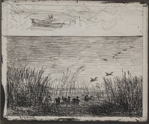 Sumpf mit Enten, Originaldruck 1862, gedruckt 1921 von Charles Francois Daubigny
