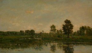 Der Sumpf von Charles Francois Daubigny