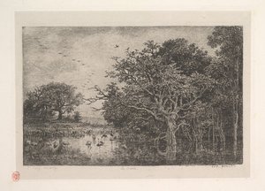 Die Sümpfe, 1851 von Charles Francois Daubigny