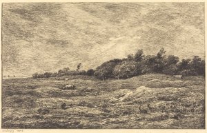 Die Wiese bei Grave, nahe Villerville