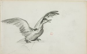 Wildes Duett (recto); Zwei stehende nackte weibliche Figuren in Nischen (verso)