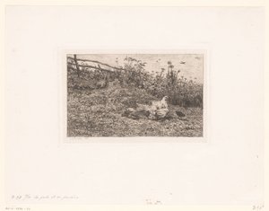 Huhn mit Küken