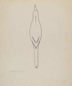 Lockvogel (Rotflügel-Schwarzvogel)