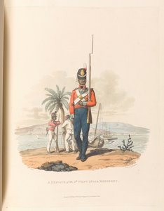 Ein Soldat des 5. Westindischen Regiments von Charles Hamilton (after) Smith