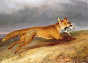 Fuchs entkommt mit einem Kaninchen von Charles Hancock