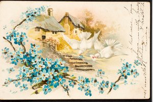 Alte Postkarte/Taube