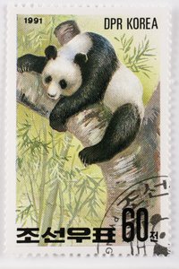 Briefmarke/Nordkorea/Ailuropoda melanoleuca/Großer Panda
