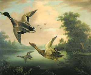 Entenjagd