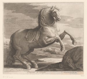 Steigendes Pferd von Charles II Errard (attributed to)