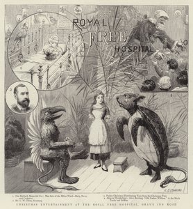 Weihnachtsunterhaltung im Royal Free Hospital, Gray