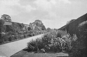 Staudenrabatten von Charles Latham