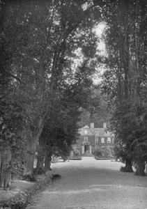 Die Allee