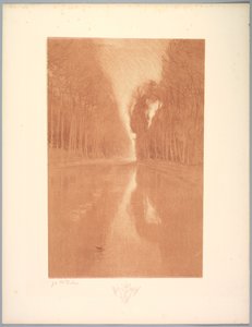 Suite von Landschaften: Landschaft, Platte 2, Remarque, Sternblumen