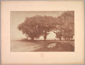Suite de Paysages: Landschaft, Platte 8, Remarque, Stiefmütterchen, 1892-1893