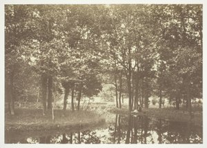 Ohne Titel von Charles Marville