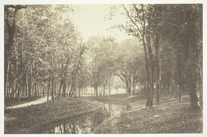 Ohne Titel [Bäume in der Nähe von Wasser im Bois de Boulogne, einem Park in Paris] von Charles Marville