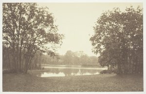Ohne Titel, ca. 1850. [Bäume in der Nähe von Wasser im Bois de Boulogne, einem Park in Paris] von Charles Marville
