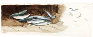 Studie von Fischen von Charles Napier Hemy