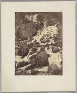 [Bäume und Wasserfälle] von Charles Nègre