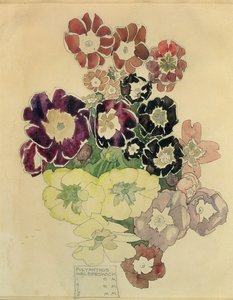 Primel, Walberswick, 1915