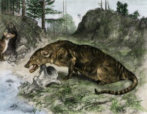 Urgeschichte: ein Mesonyx an den Ufern des Lake Uintah in Utah und Wyoming (USA)