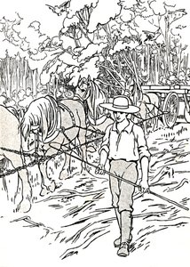 Ein Siedler räumt sein Land, 1912