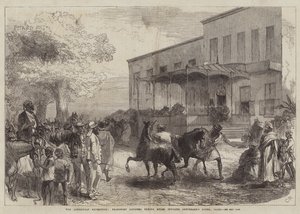 Die abessinische Expedition, Transportoffiziere kaufen Maultiere gegenüber dem Shepheard