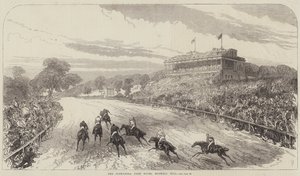 Die Alexandra Park Rennen, Muswell Hill von Sir John Charles Robinson
