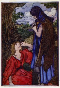 Der wohlwollende Frosch von Charles Robinson