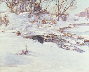 Wintersonnenlicht