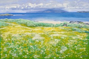 Machair, Nordende Iona, 2015 von Charles Simpson