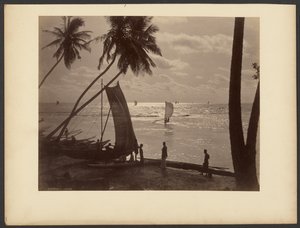 Ceylon von Charles T. Scowen