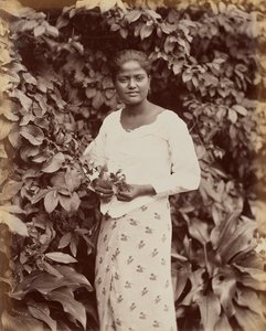Singhalesen