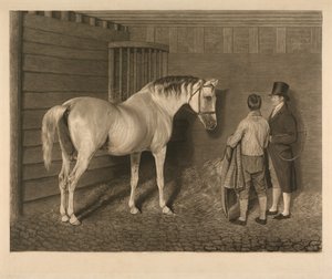 Der Wellesley Araber von Charles Turner
