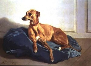Studie eines Hundes von Charles Verlat