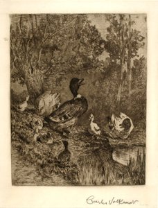 Kopf der Familie von Charles Volkmar