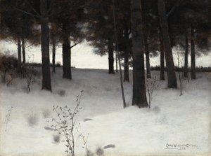 Wald im Winter